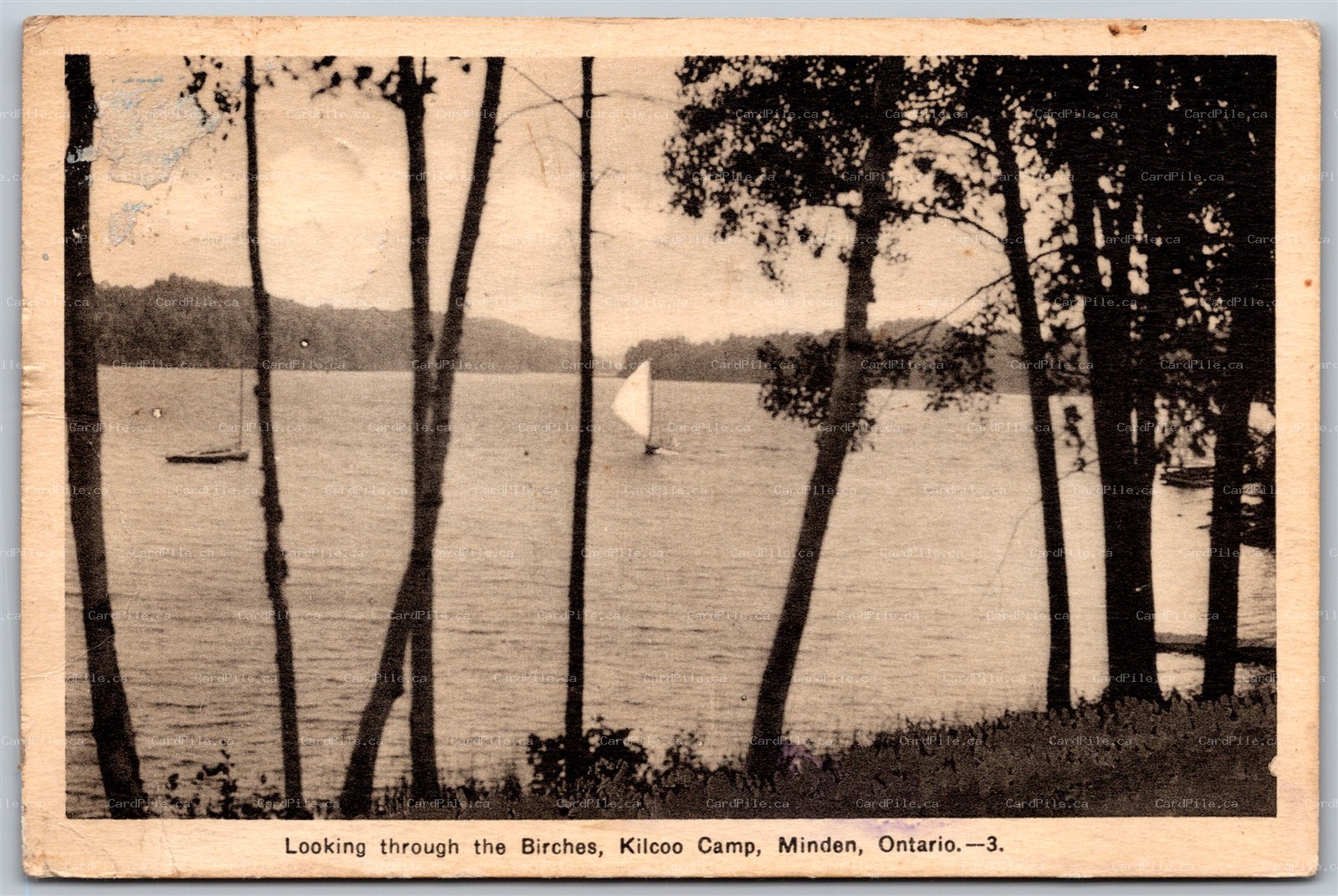 Postcard Minden Ontario c1940 Looking Through the Birches Kilcoo Camp Haliburton