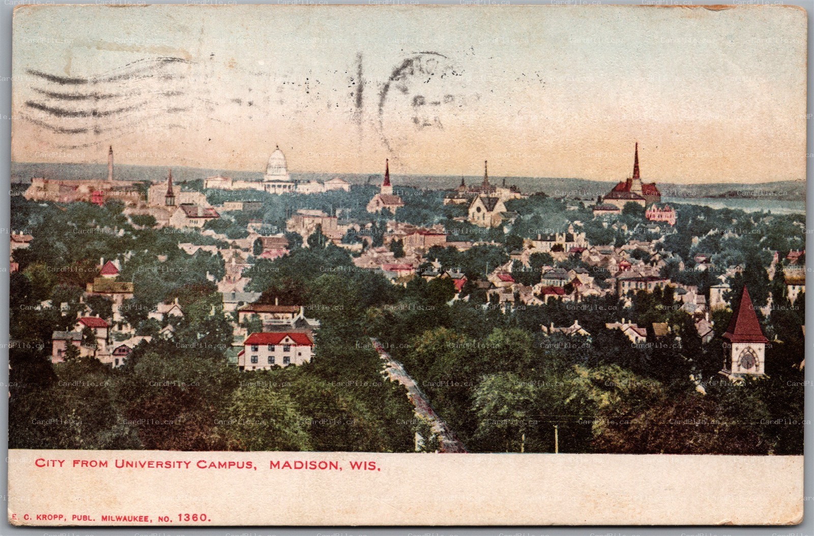Postcard Madison Wisconsin c1905 City from University Campus to Alpena Michigan