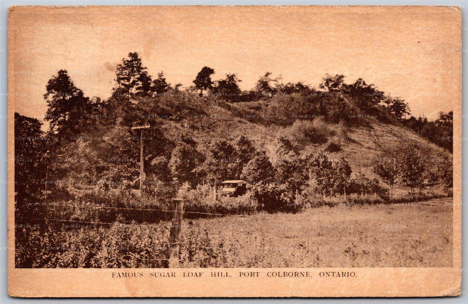 Postcard Port Colborne Ontario c1924 Famous Sugar Loaf Hill by F. H. Leslie