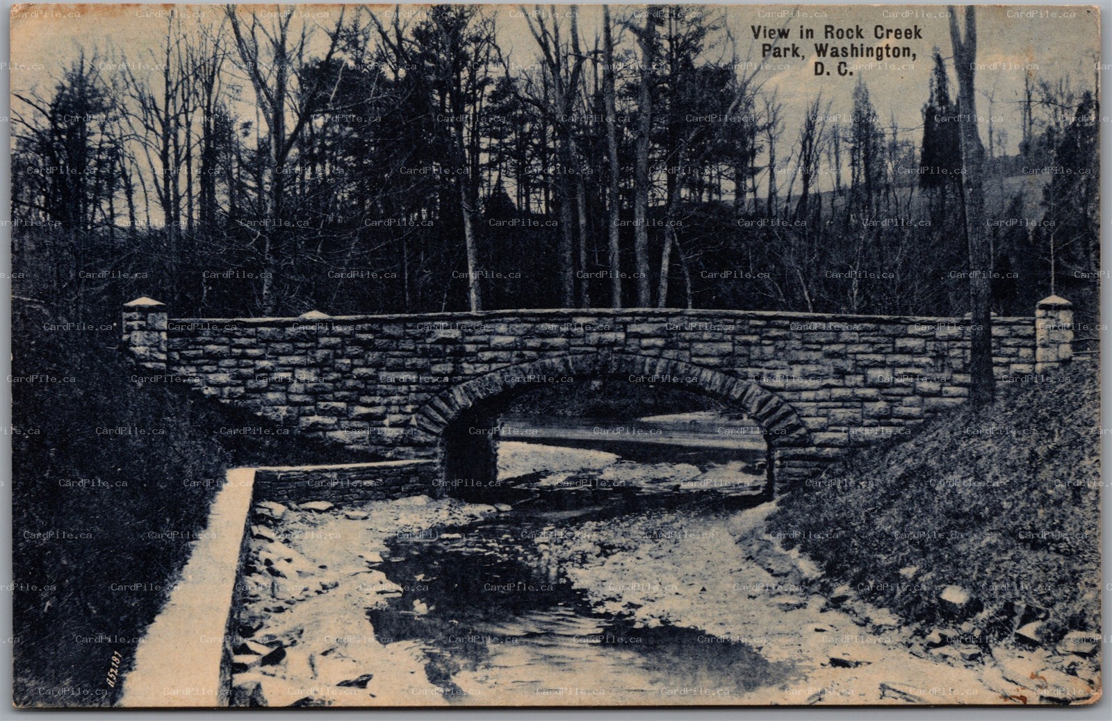 Postcard Washington DC c1908 Scenic View in Rock Creek Park to Alpena Michigan