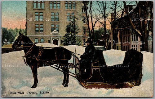 Postcard Montreal Quebec c1908 Typical Sleigh Horse Winter Street Scene