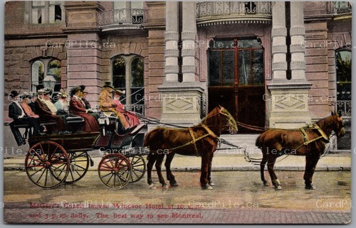 Postcard Montreal Quebec c1910 McGarr's Coach Windsor Hotel Horse Carriage