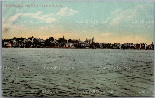 Postcard Hastings Ontario c1905 Panoramic View Waterfront by Stedman Bros