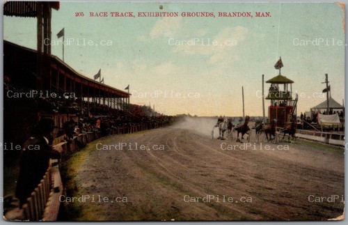 Postcard Brandon Manitoba c1909 Race Track Exhibition Grounds