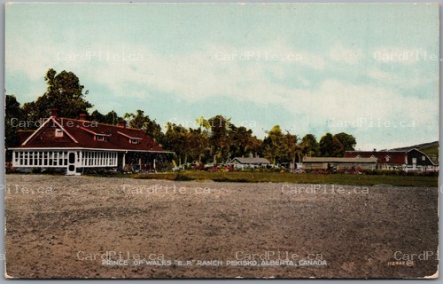 Postcard Pekisko Alberta c1910 Prince Of Wales E.P. Ranch