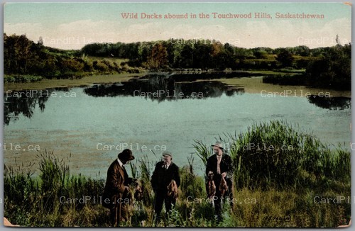 Postcard Touchwood Hills Saskatchewan c1910s Wild Ducks Hunting Scene
