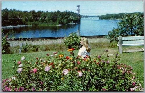 Postcard Bala Ontario c1960s View From Main Street Park Muskoka Gerry Dunn's