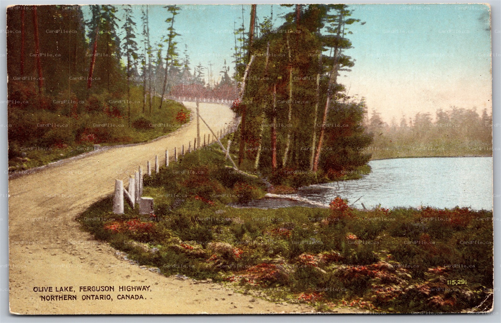 Postcard Marten River Ontario c1920s Olive Lake Ferguson Highway Scenic View