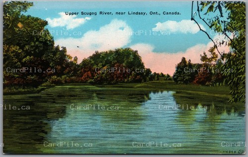 Postcard Lindsay Ontario c1920s Upper Scugog River Scenic View Victoria County