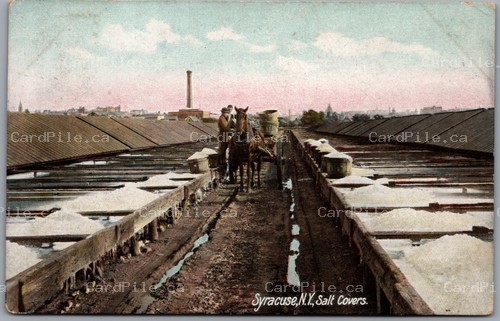 Postcard Syracuse New York c1907 Salt Covers Horse Wagon Onondaga County