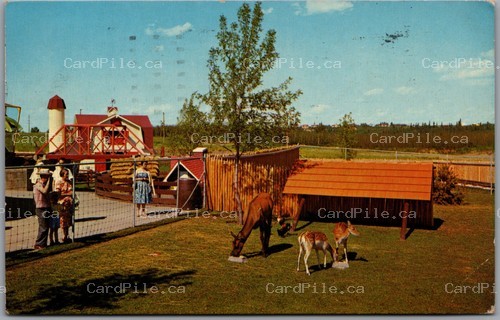 Postcard Edmonton Alberta 1963 Storyland Valley Children's Zoo Elk Spotted Deer