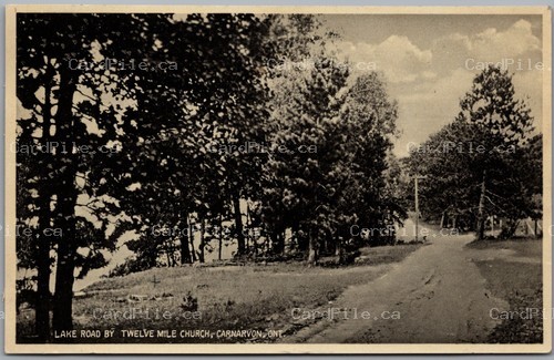Postcard Carnarvon Ontario c1910s Lake Road by Twelve Mile Church Scenic View