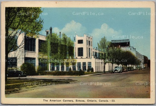 Postcard Simcoe Ontario c1940s The American Canners Factory Old Cars Norfolk