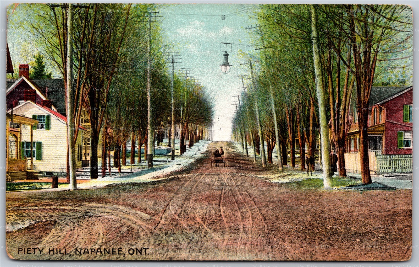Postcard Napanee Ontario c1910s Piety Hill Lennox and Addington County