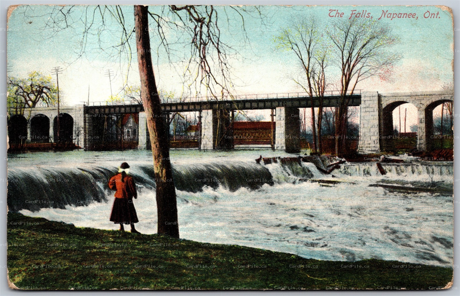 Postcard Napanee Ontario c1910s The Falls Lennox & Addington County by Stedman