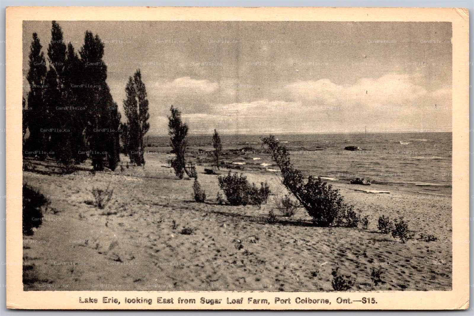 Postcard Port Colborne Ontario 1930s Lake Erie Looking West From Sugar Loaf Farm