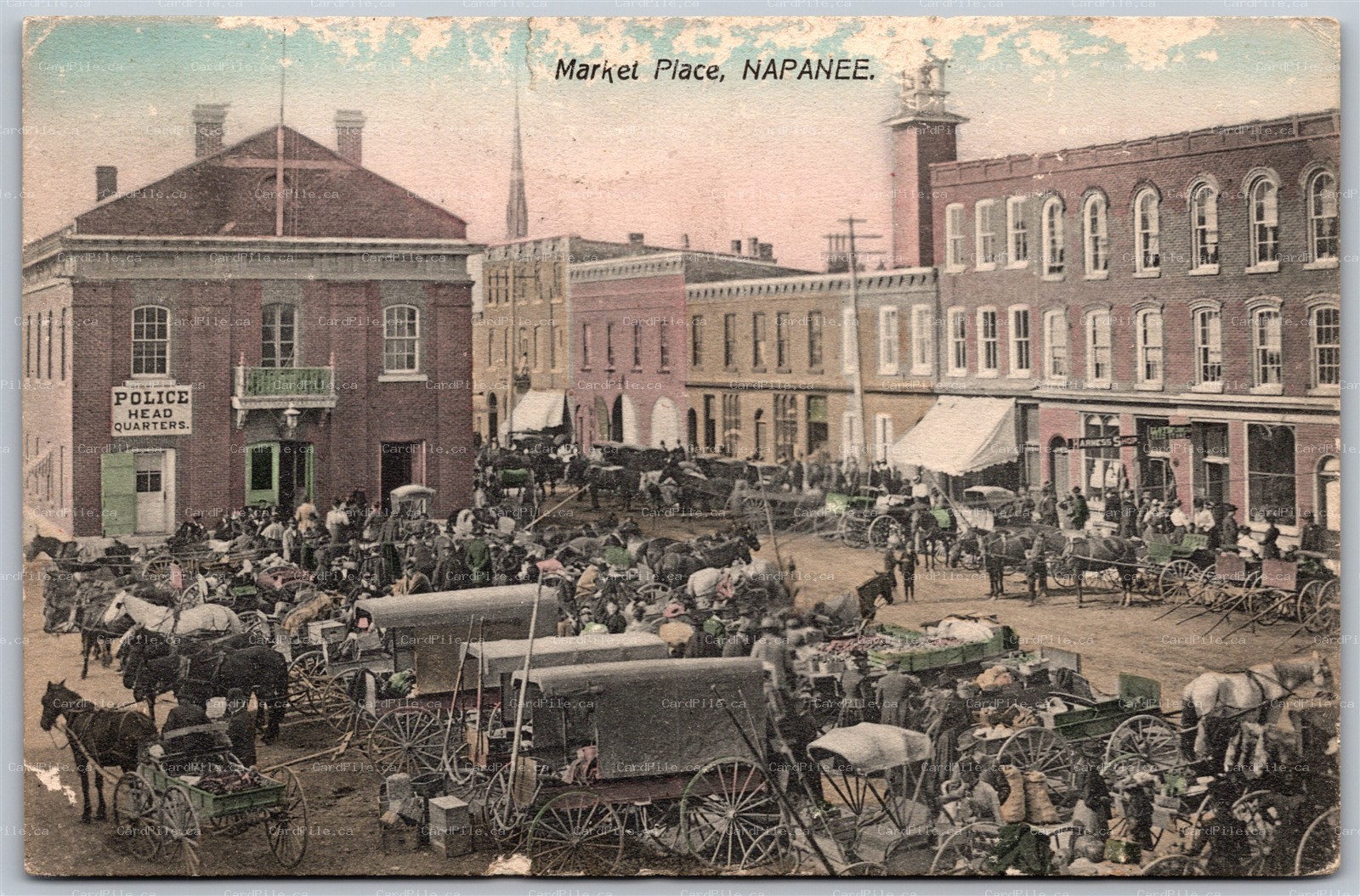 Postcard Napanee Ontario c1909 Market Place Horses Carriages Police *as is*