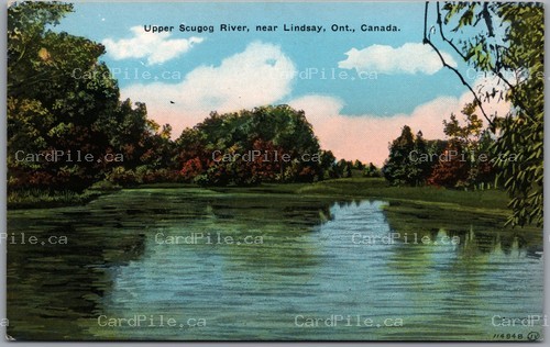 Postcard Lindsay Ontario 1920s Upper Scugog River Scenic View Victoria County