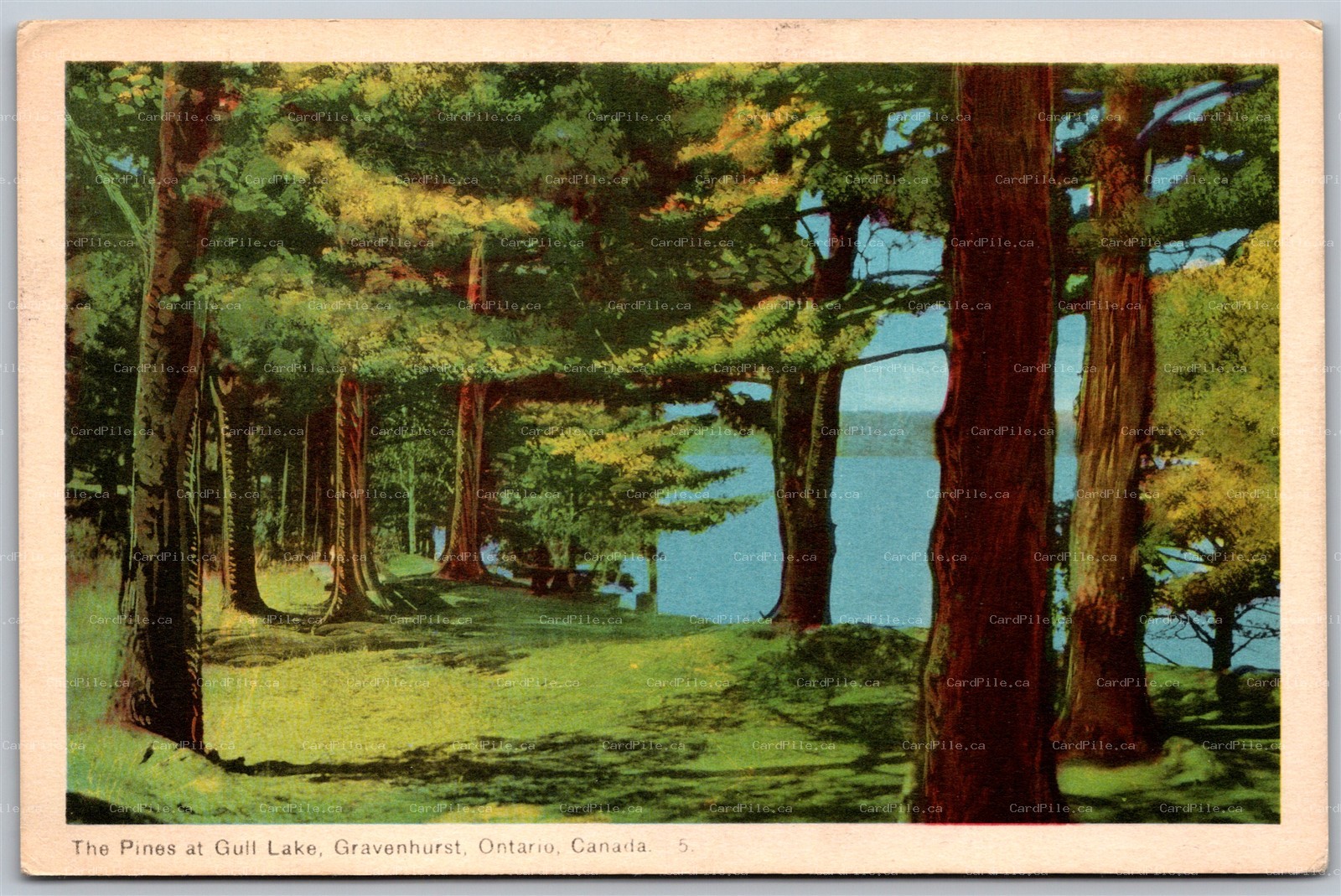 Postcard Gravenhurst Ontario c1953 The Pines at Gull Lake Scenic View by PECO