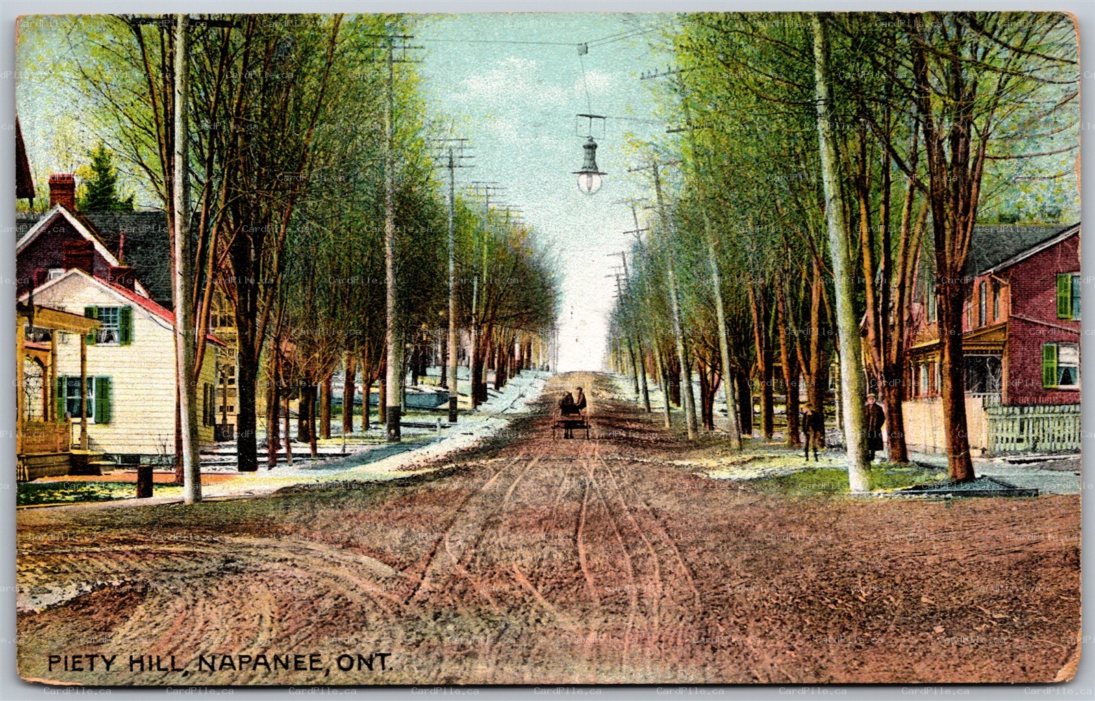 Postcard Napanee Ontario c1910s Piety Hill Lennox and Addington County B