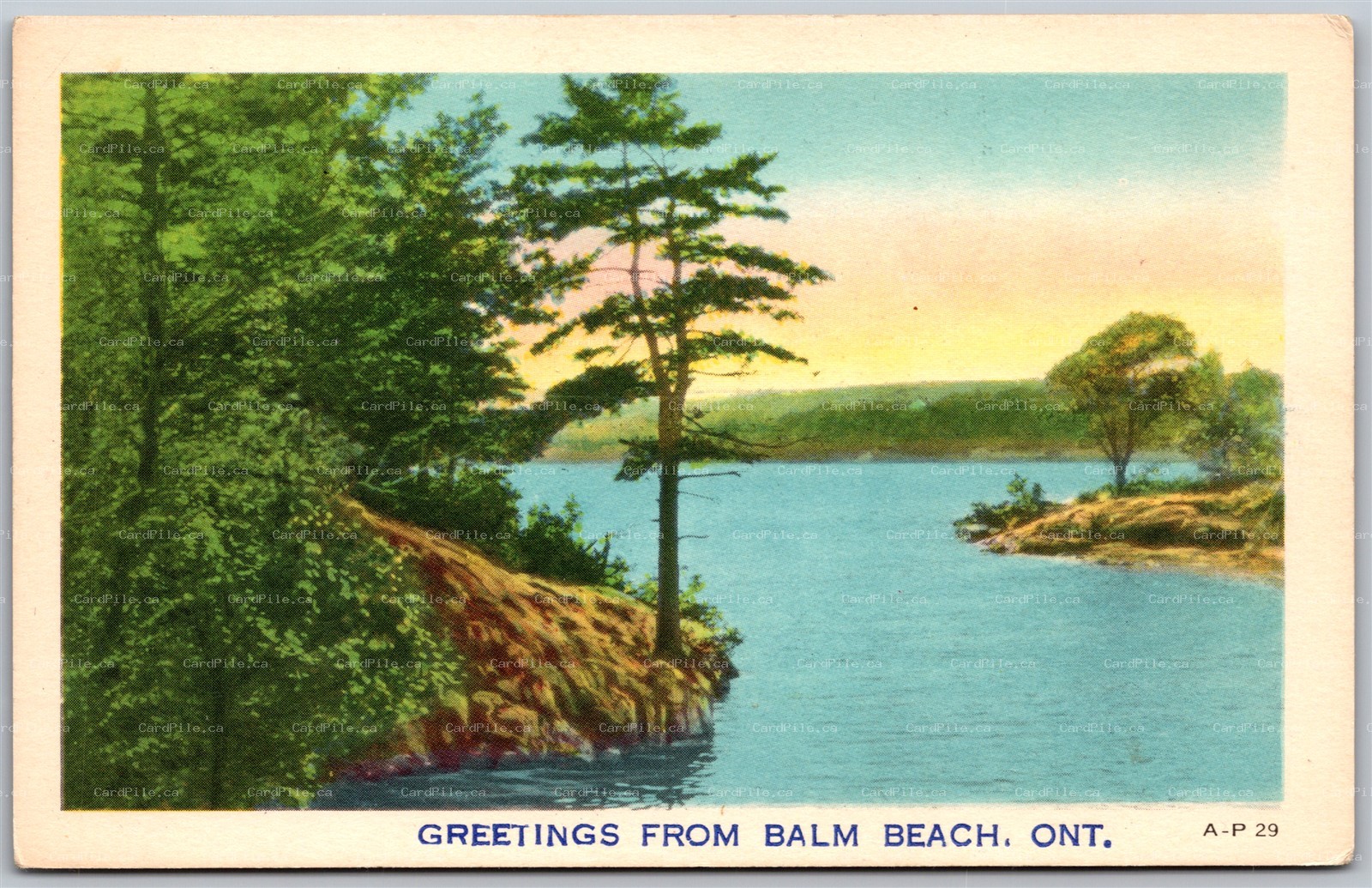 Postcard c1930s Greetings From Balm Beach Ontario Scenic View by Ashton-Potter A