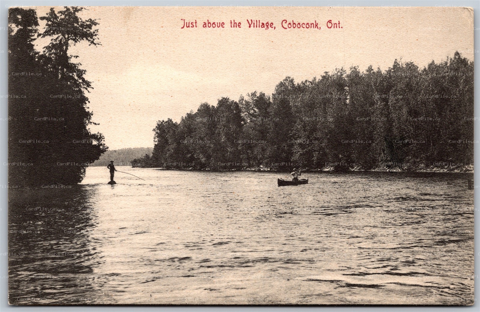 Postcard Coboconk Ontario c1906 Just Above The Village Scenic View Victoria Co.