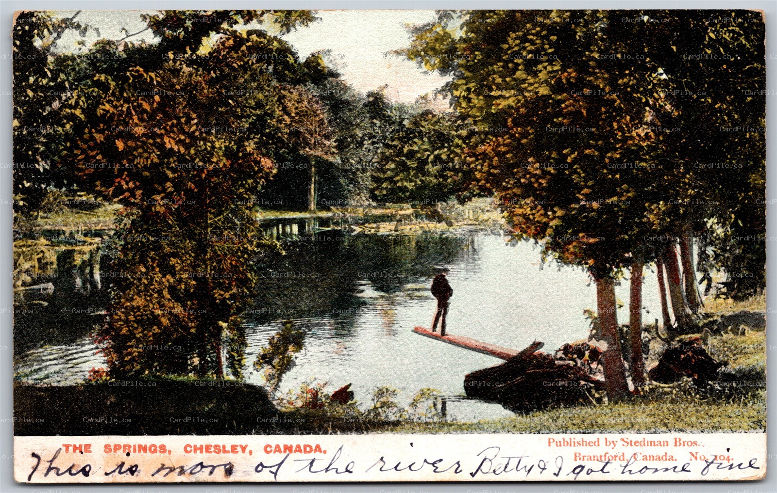 Postcard Chesley Ontario c1907 The Springs Split Ring Vesta by Stedman