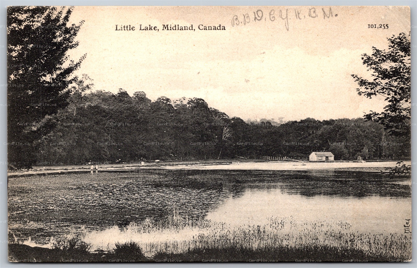 Postcard Midland Ontario c1907 Little Lake Scenic View by J. W. Bald