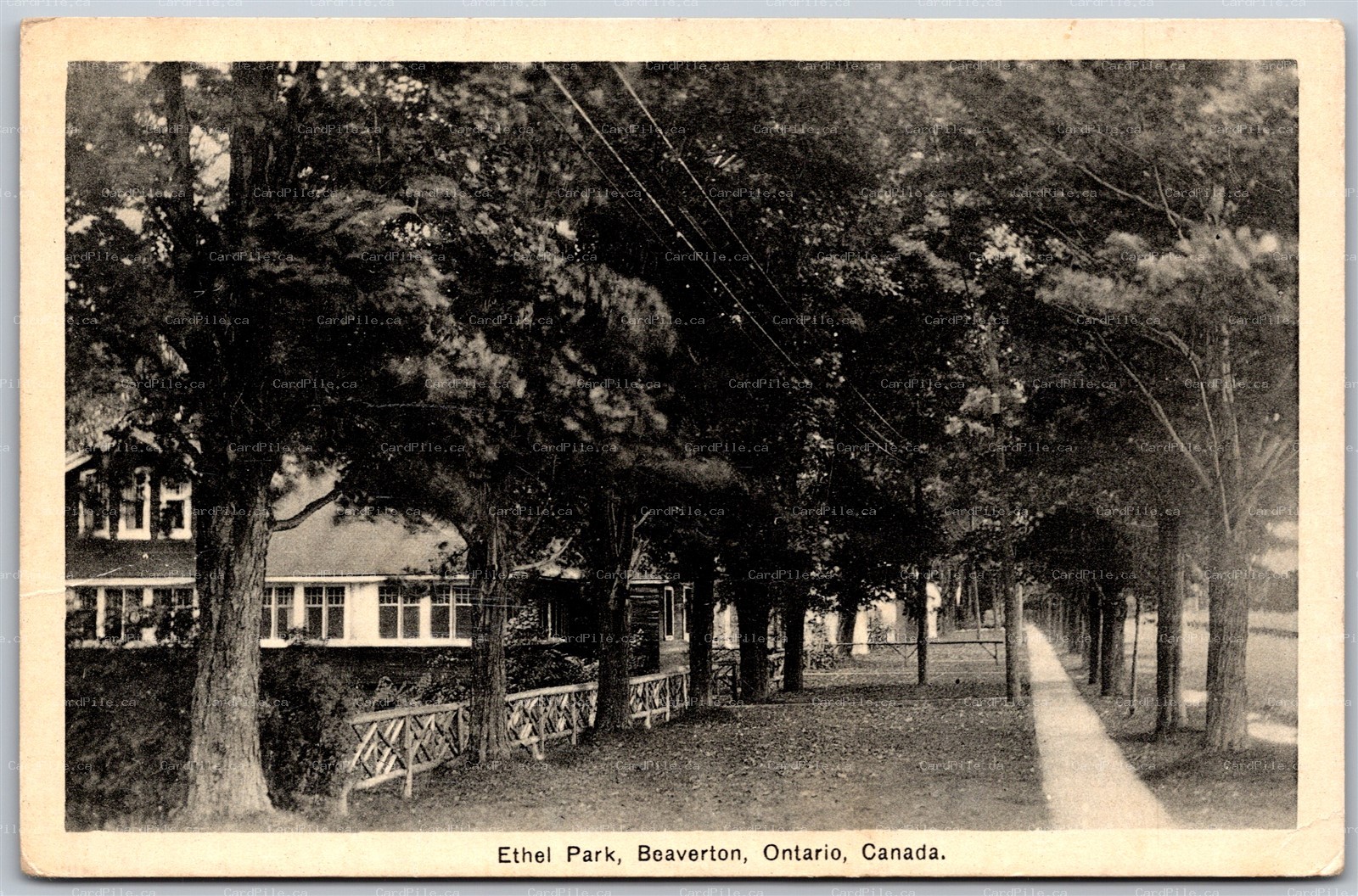 Postcard Beaverton Ontario c1934 Ethel Park Browck Township by J. E. Evans