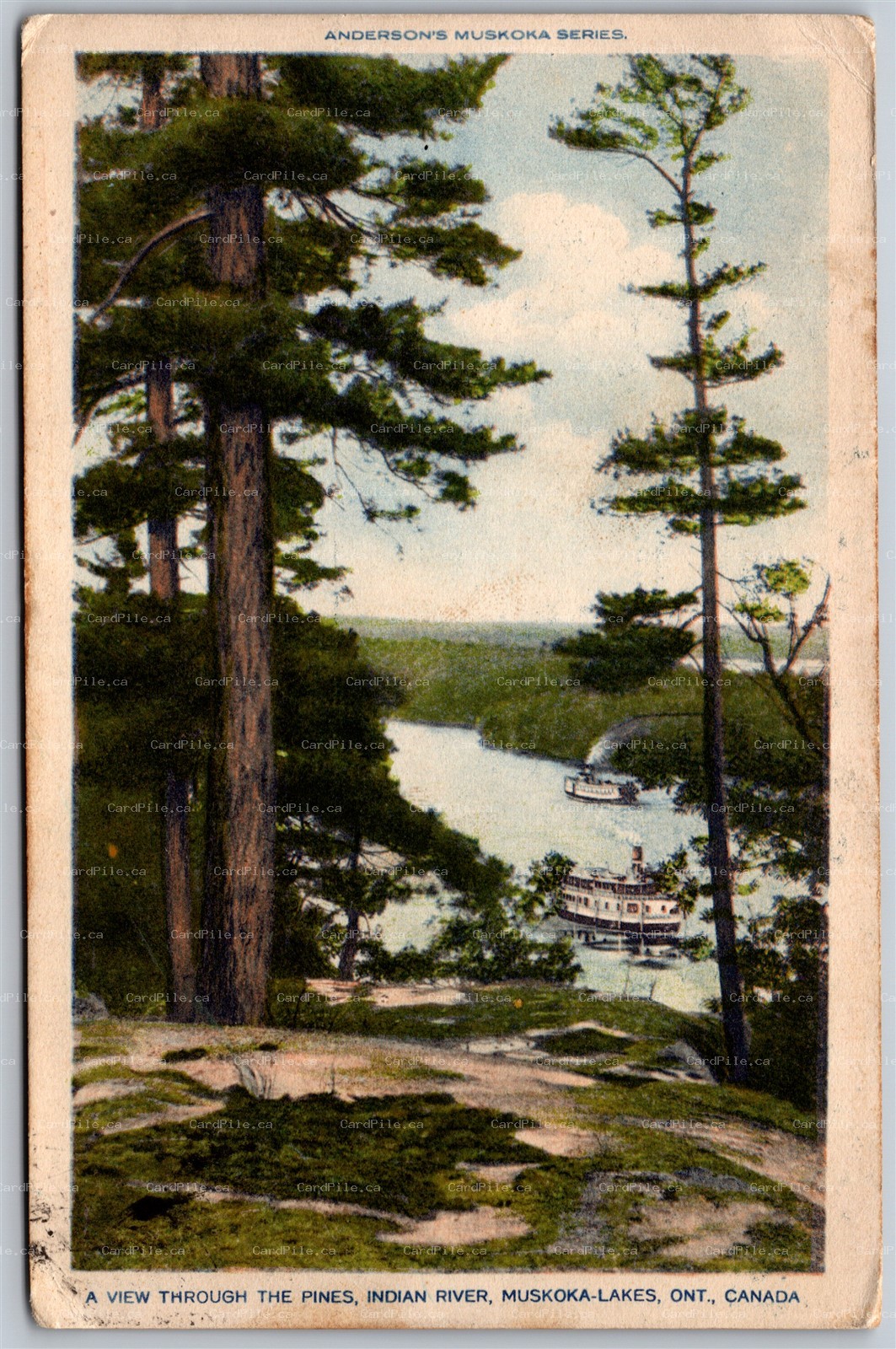 Postcard Muskoka ONT 1930 Pines Indian River Split Ring Port Sanfield Andersons
