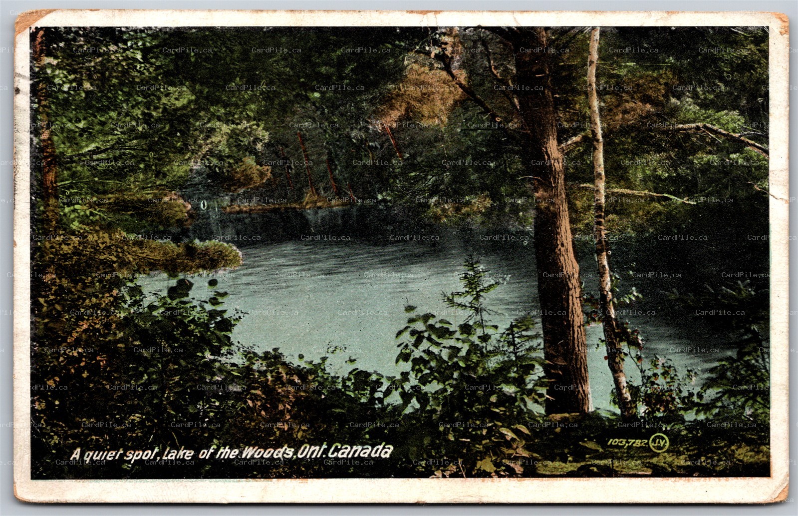 Postcard Lake of The Woods Ontario 1911 A Queit Spot Scenic View to Kitchawan NY