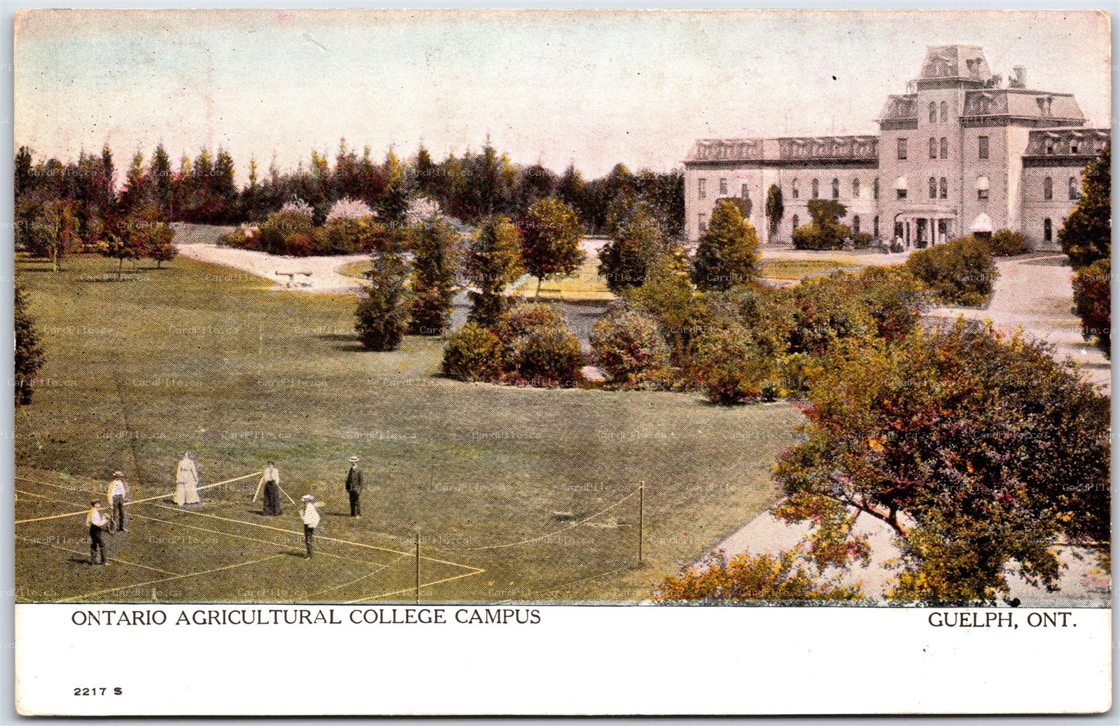 Postcard Guelph Ontario c1905 Ontario Agricultural College Campus RPO Cancel