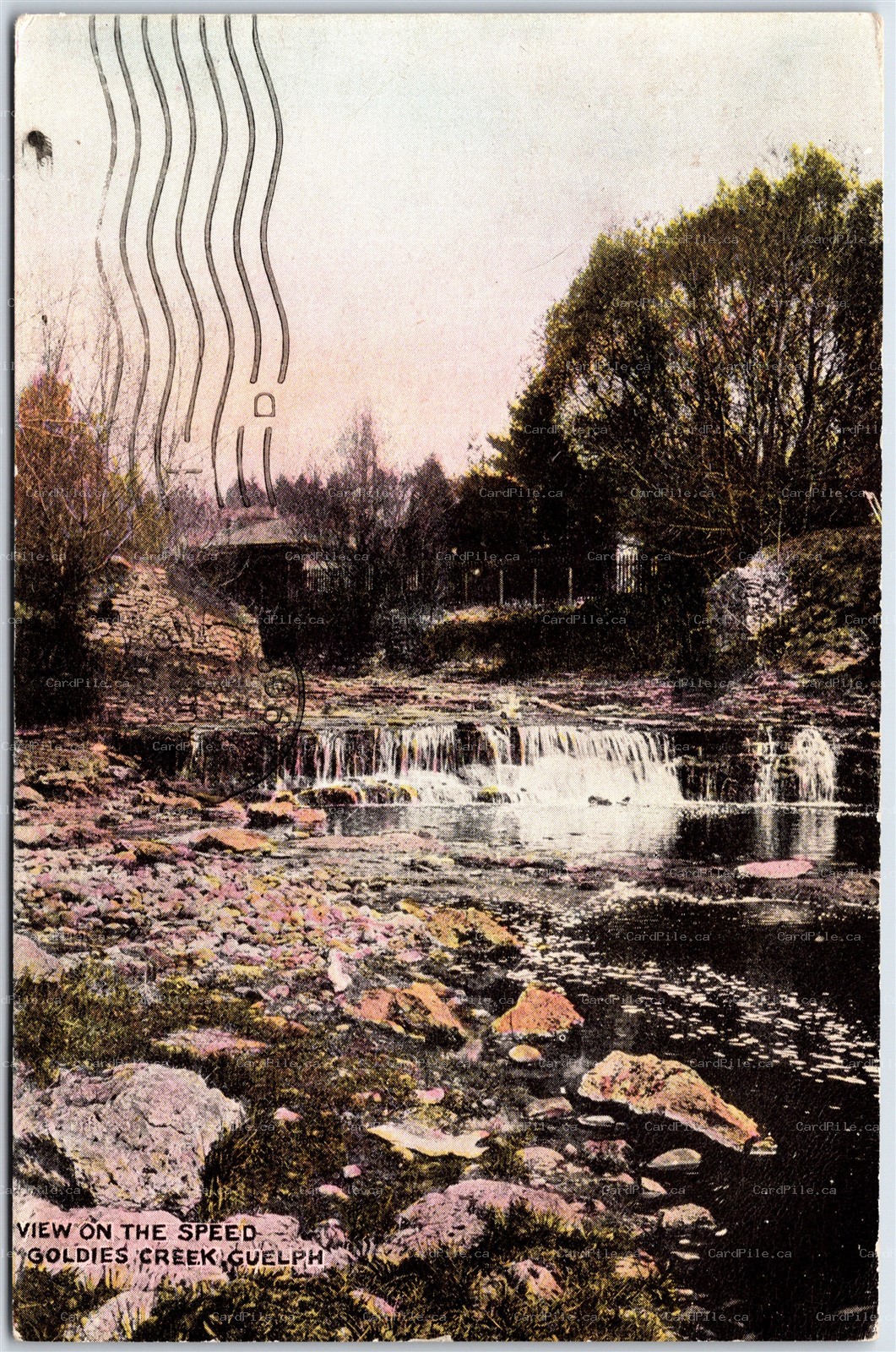 Postcard Guelph Ontario c1908 View On The Speed Goldie's Creek by Warwick