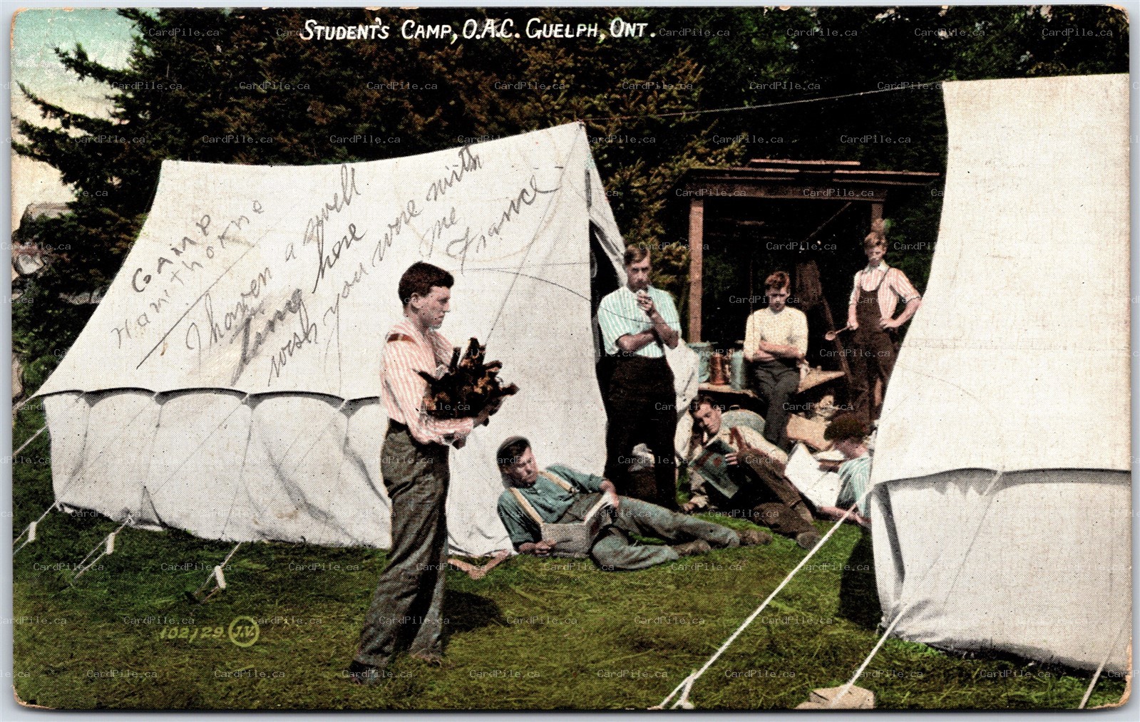 Postcard Guelph Ontario c1908 Student's Camp O.A.C. Hawthorne Tents