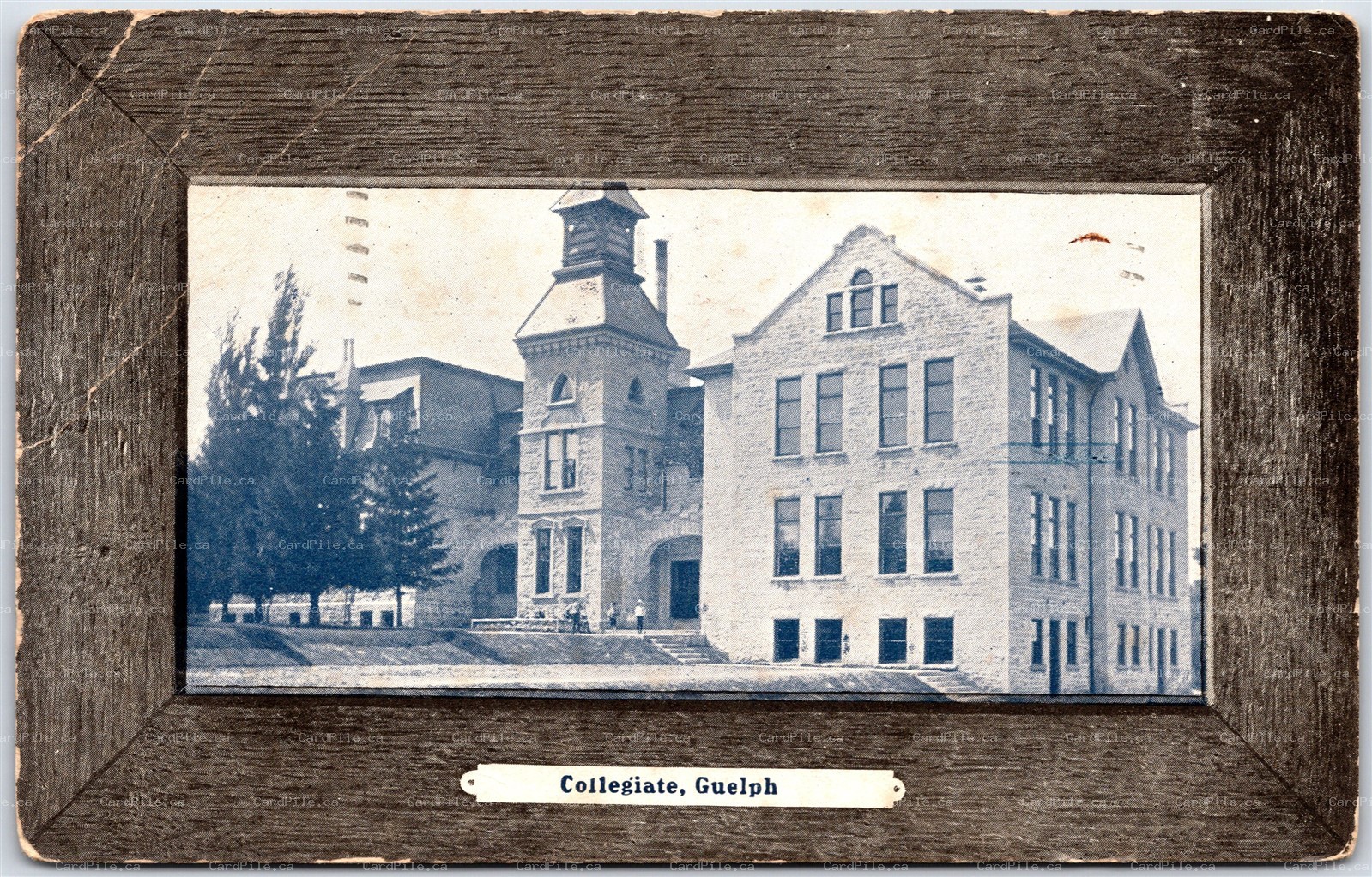 Postcard Guelph Ontario c1908 Collegiate Fancy Wood Border by Stedman *as is*