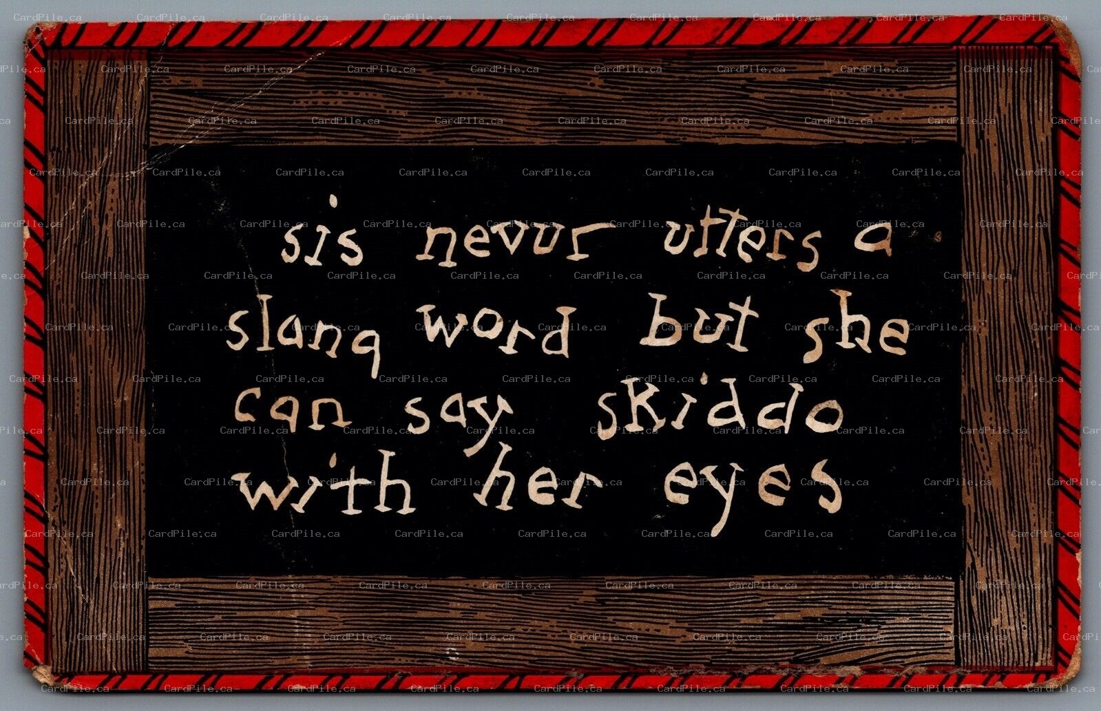 Postcard c1905 Slang Sis Never Writes A Slang Word But She Can Say Skiddo UDB
