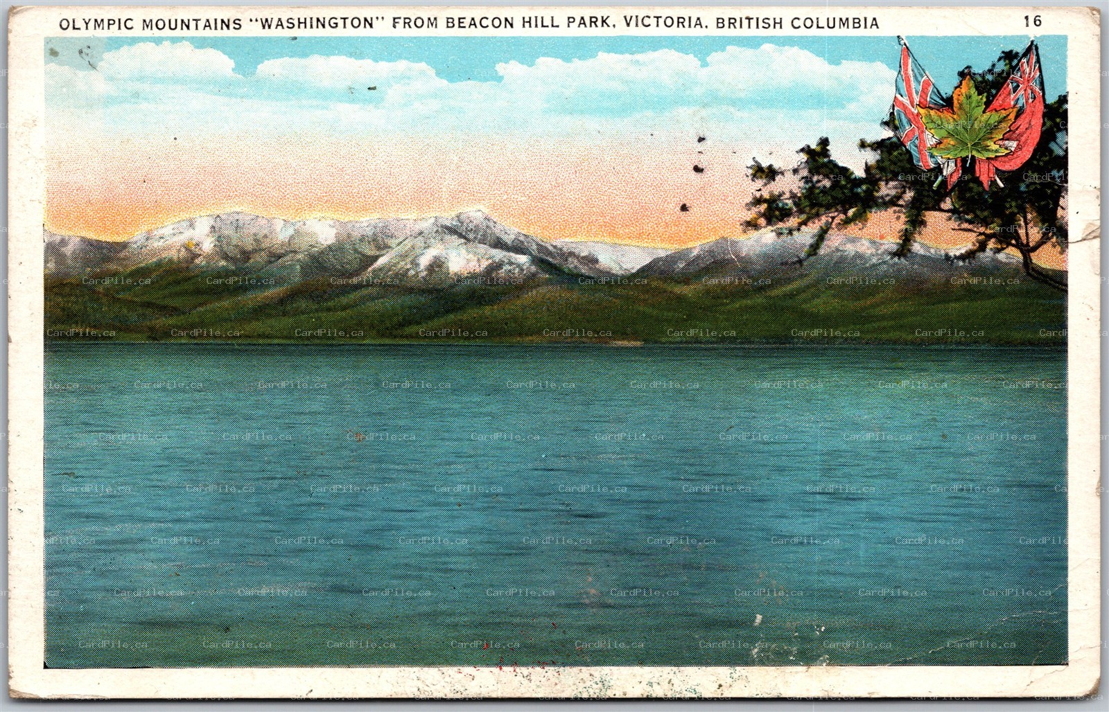 Postcard Victoria BC c1943 Olympic Mountains "Washington" From Beacon Hill Park