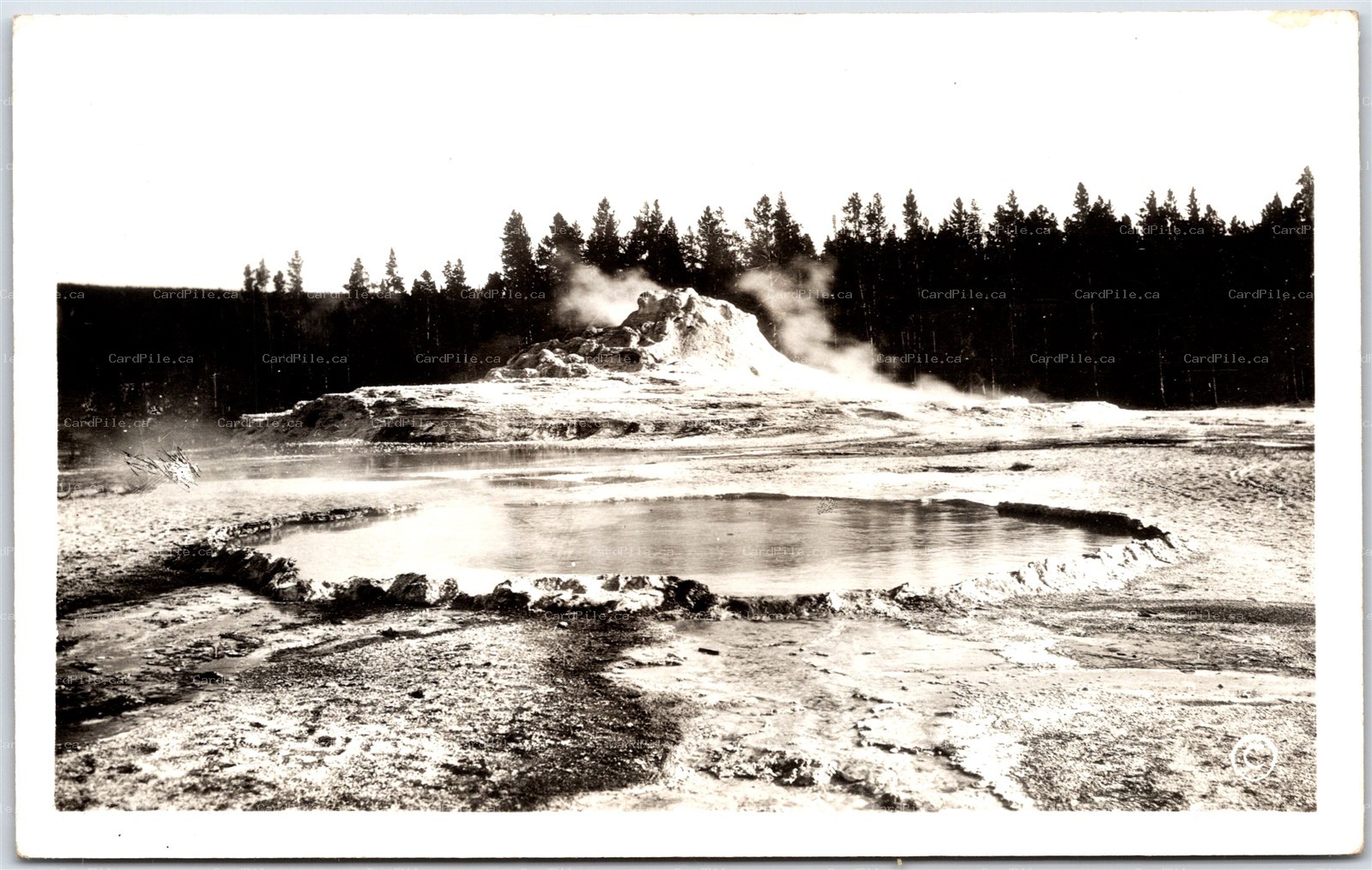 Postcard RPPC c1930s Wyoming Yellowstone Crested Pool and Castle Cone by Haynes