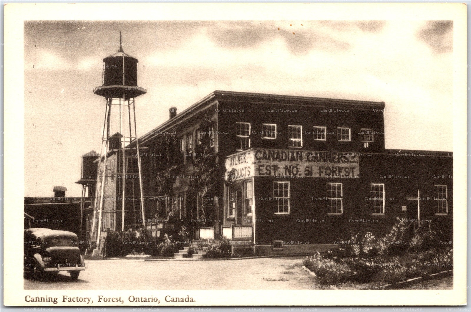 Postcard Forest Ontario c1951 Aylmer Products Canadian Canners Canning Factory