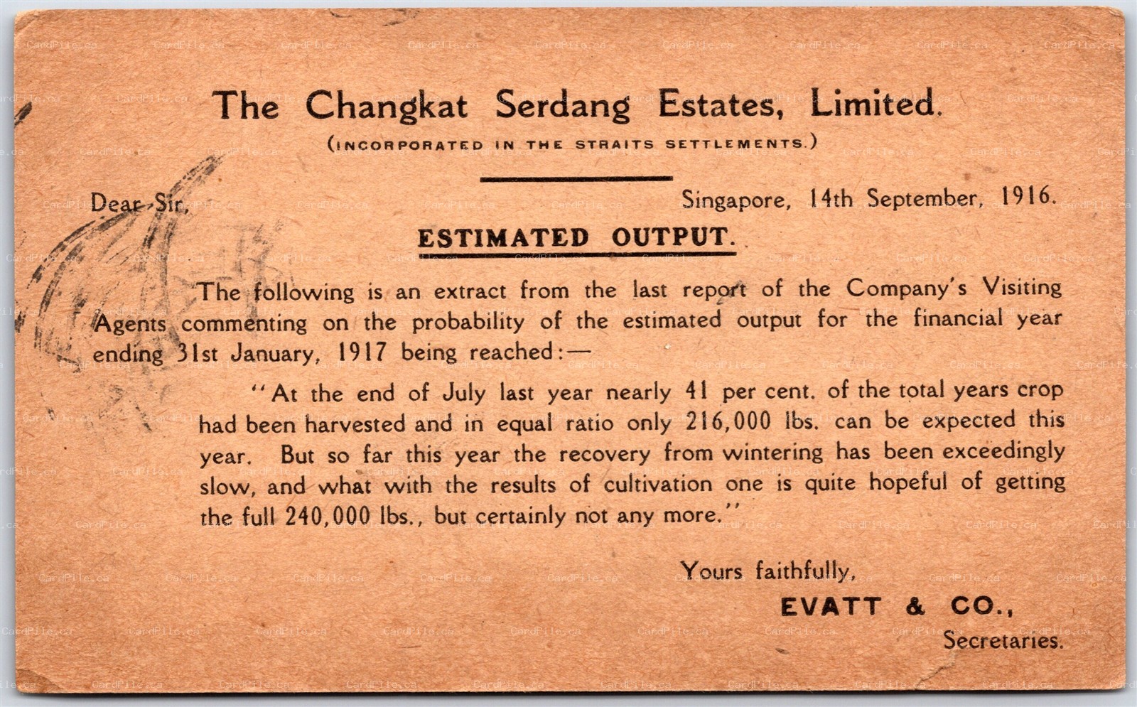 Postal Stationery Singapore 1916 Straits Settlements Changkat Serdang Estates