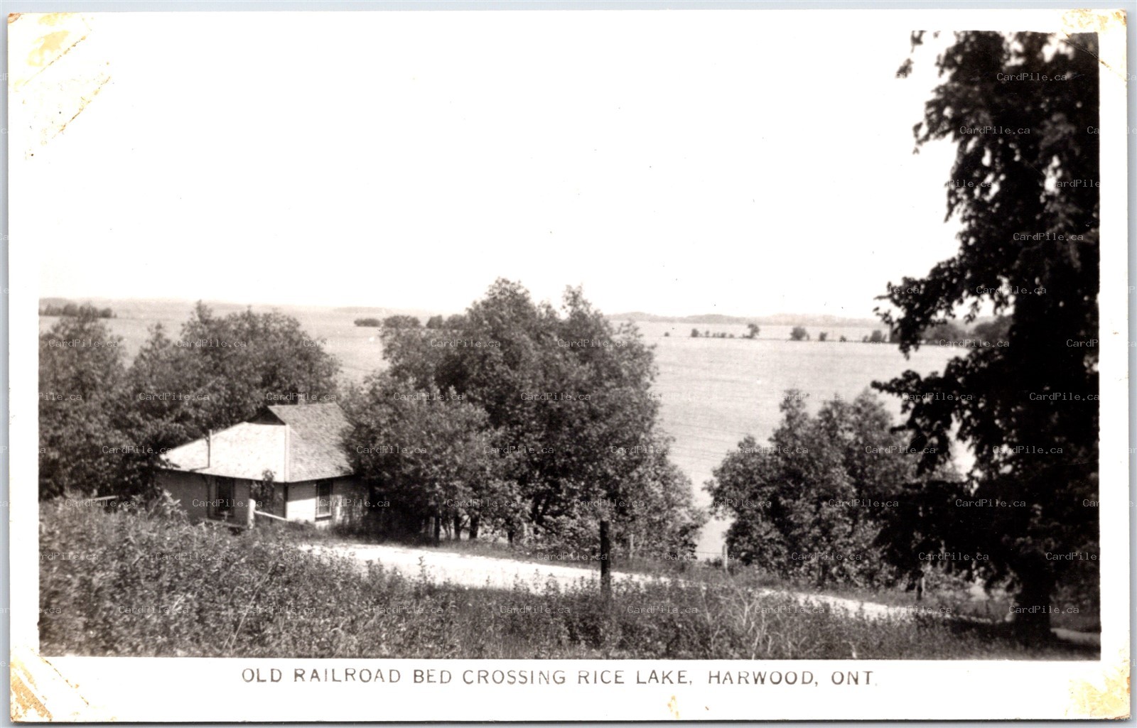 Postcard RPPC c1930s Harwood Ontario Old Railroad Bed Crossing Rice Lake NHD Co.