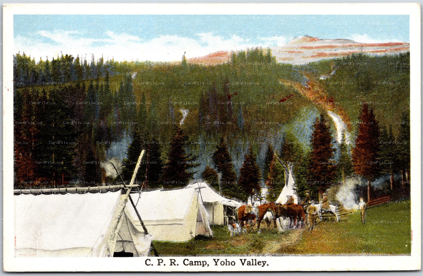 Postcard Yoho Valley British Columbia 1910s C.P.R. Camp Tents Horses Scenic View