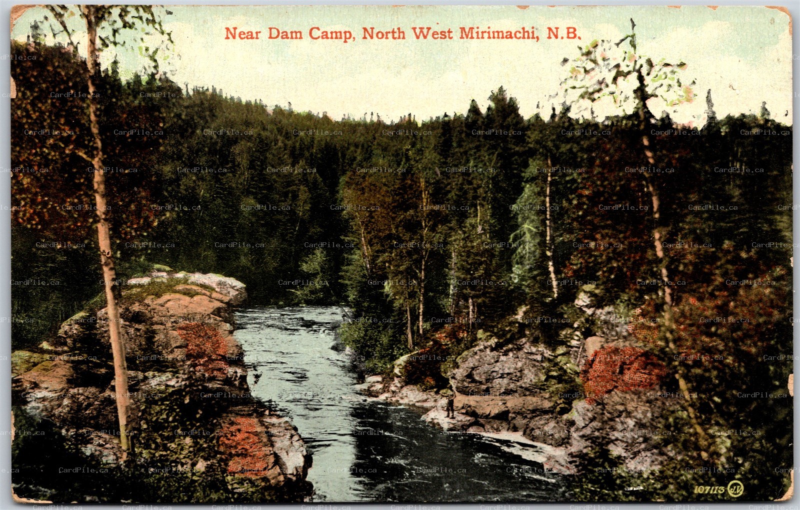 Postcard North West Mirimachi New Brunswick c1924 Near Dam Camp 
