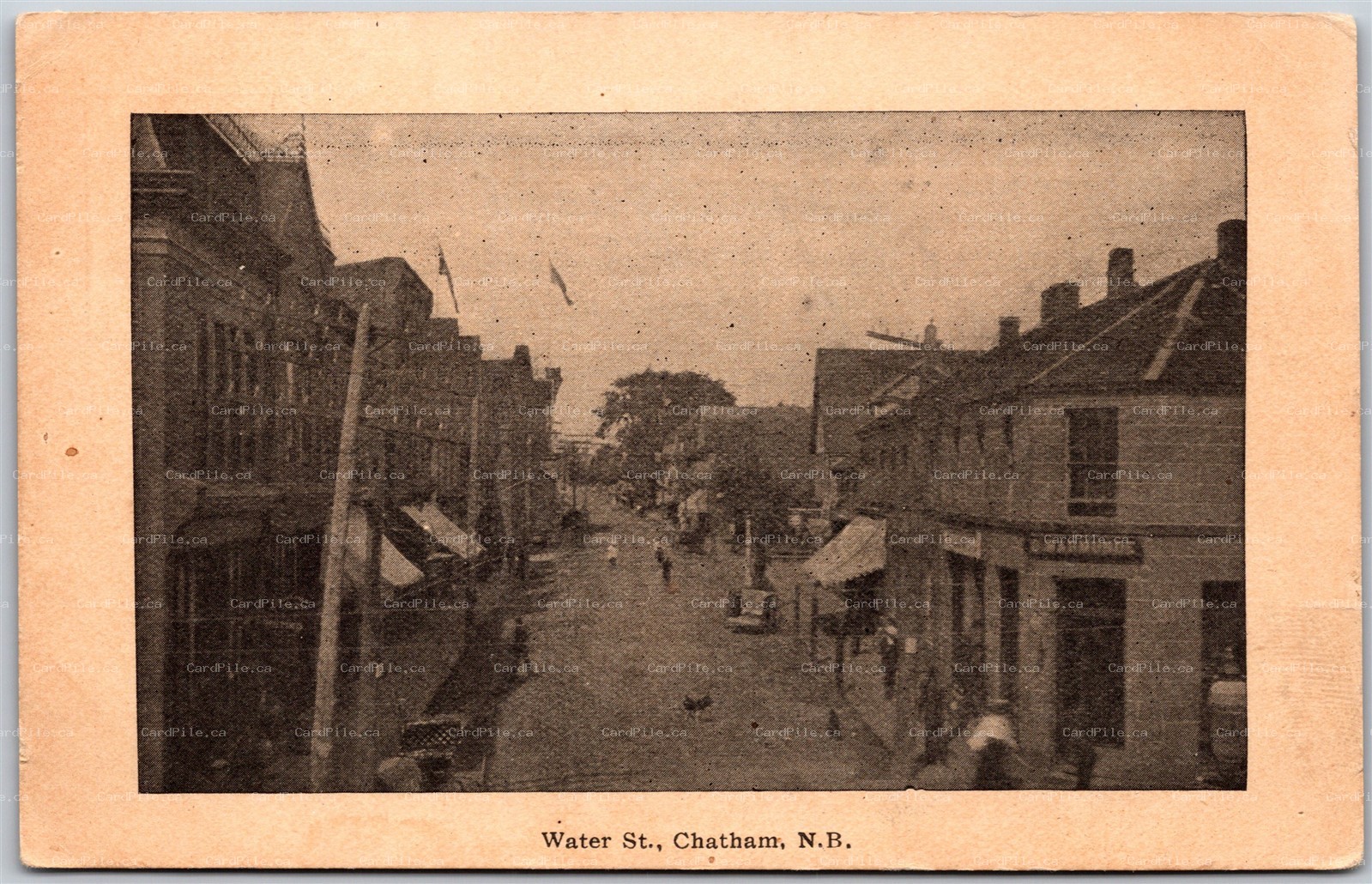 Postcard Chatham New Brunswick c1910s Water Street Northumberland County
