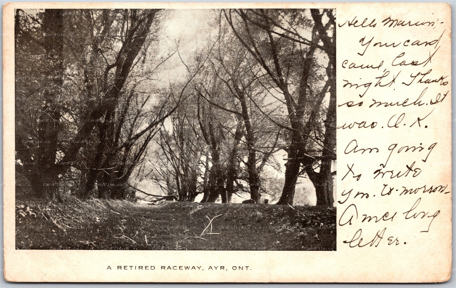 Postcard Ayr Ontario c1905 A Retired Raceway Waterloo Region