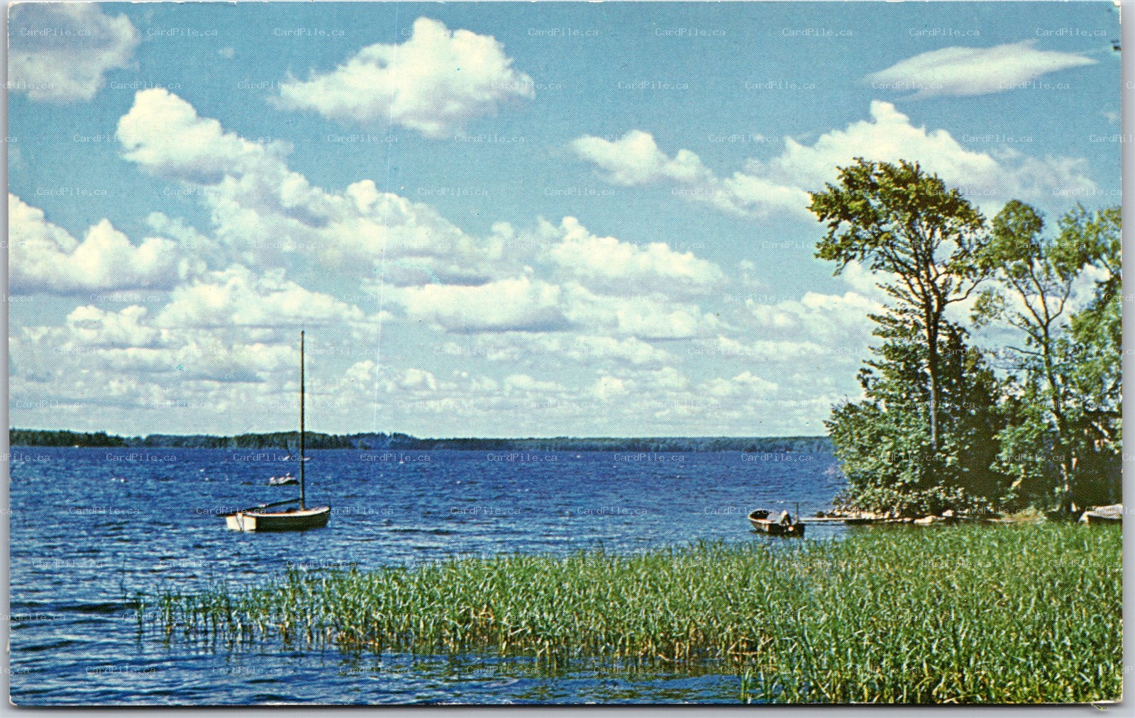 Postcard c1960s Greetings From Acton Ontario Scenic Summer Lake View 
