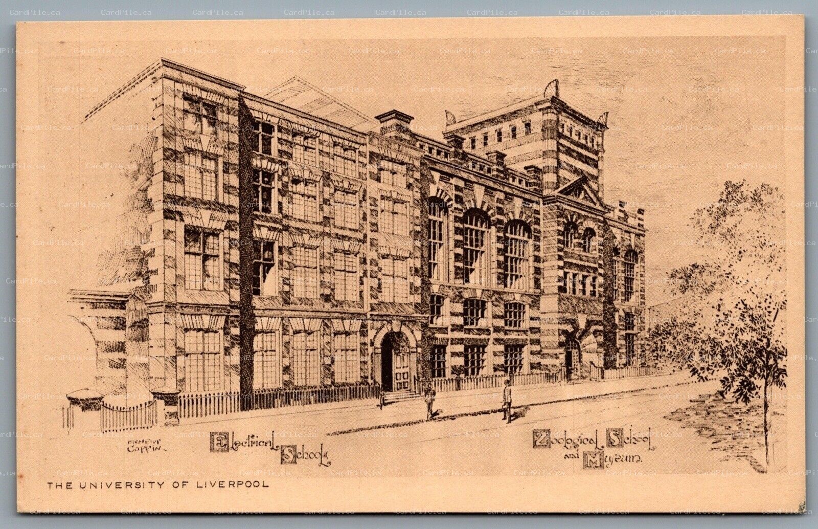 Postcard UK c1920s University of Liverpool Zoological Electrical & Museum School