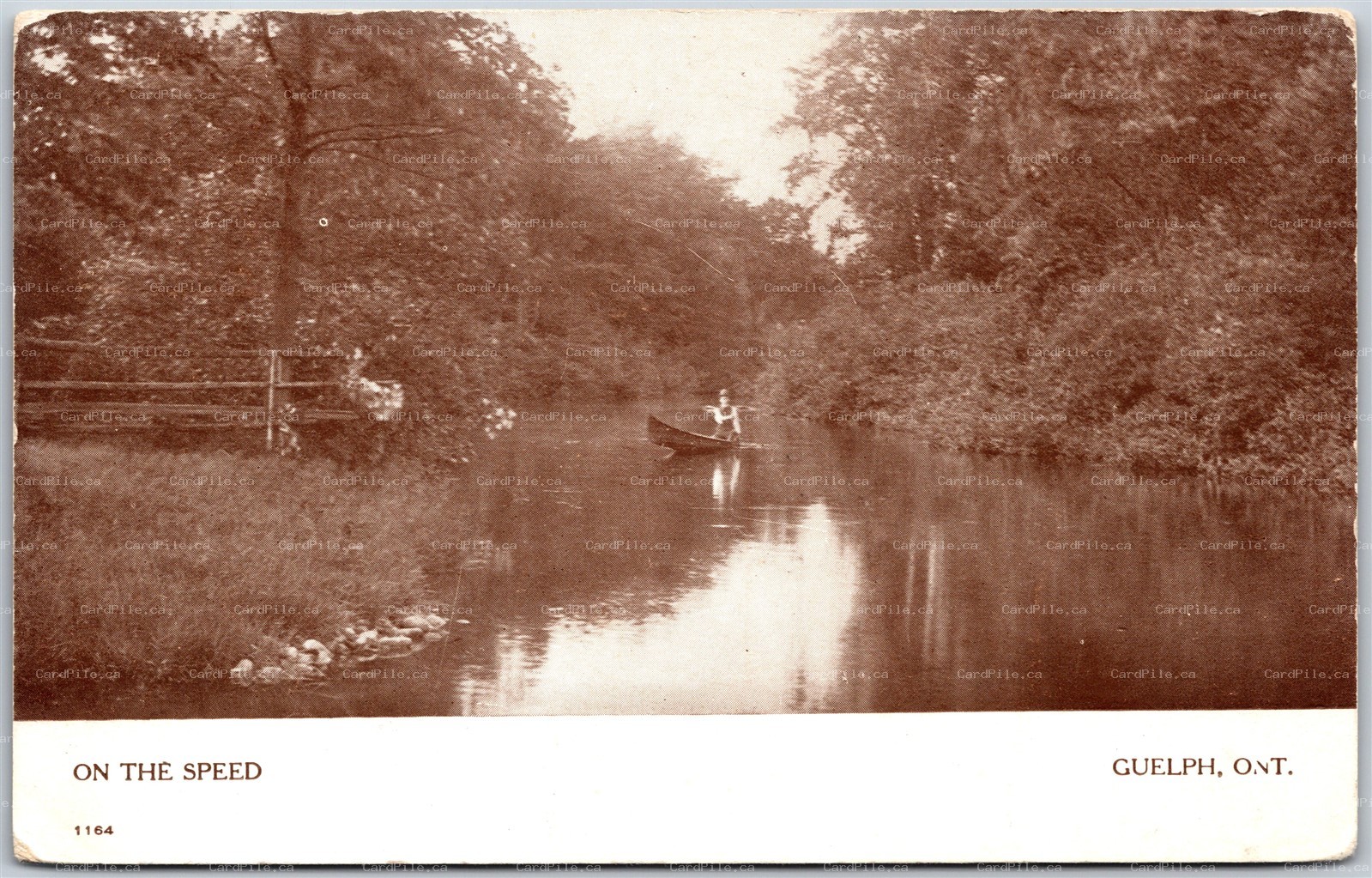 Postcard Guelph Ontario c1909 On The Speed Split Ring Bailieboro by Warwick