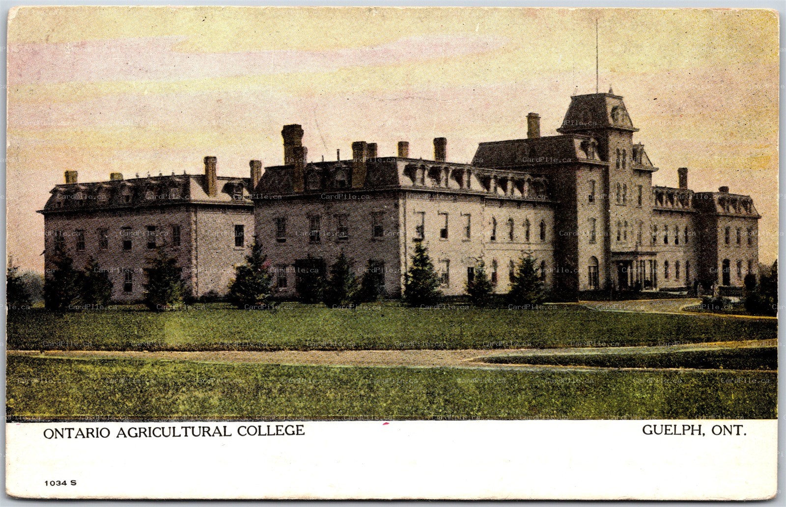 Postcard Guelph Ontario c1910s Ontario Agricultural Building by Warwick