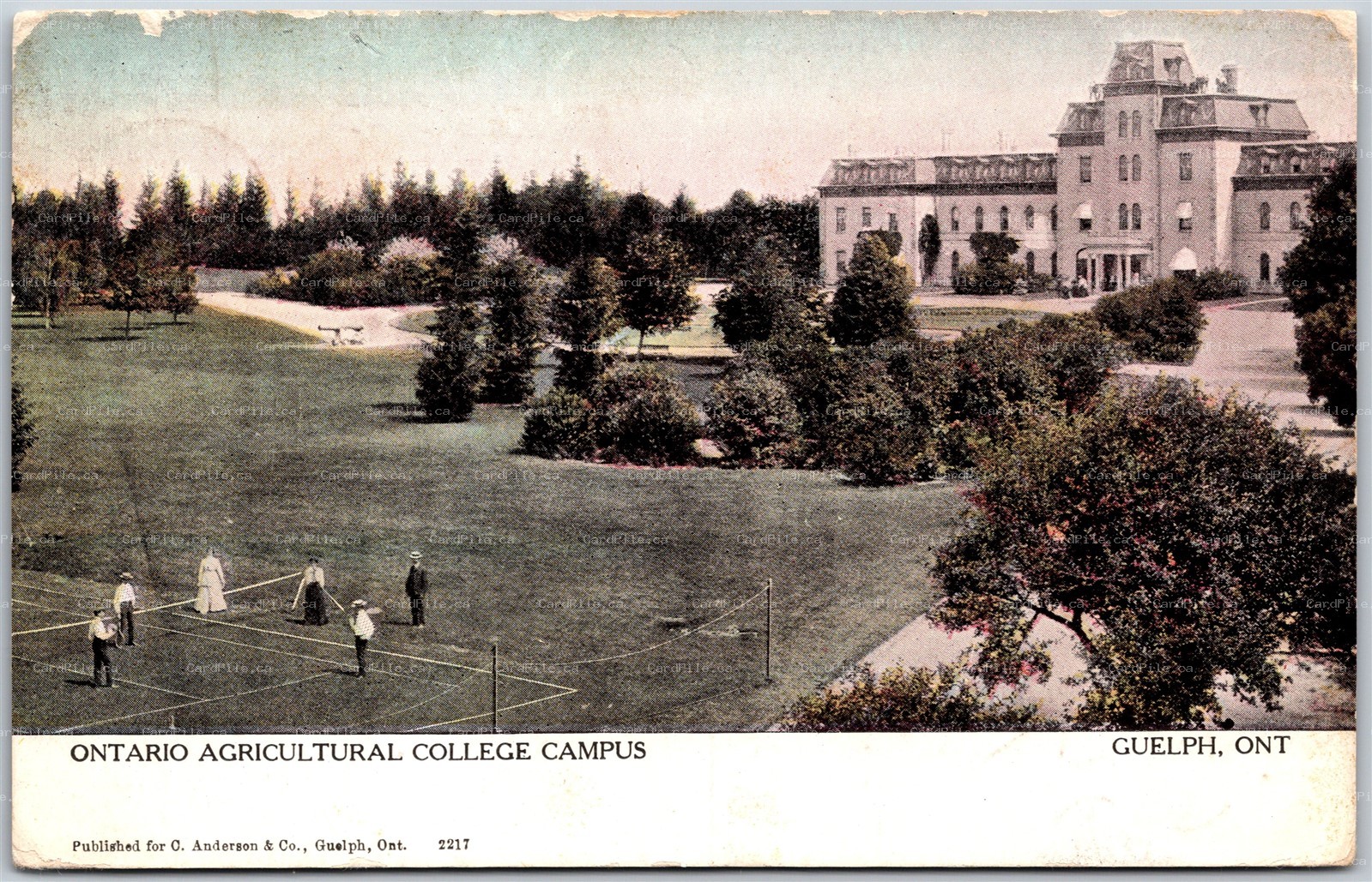 Postcard Guelph Ontario c1911 Ontario Agricultural College Campus Tennis Warwick